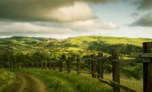 Ranch Fence Sonoma